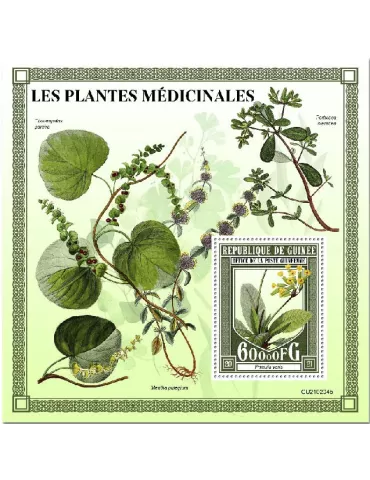 n° 2704 - Timbre GUINEE Blocs et feuillets