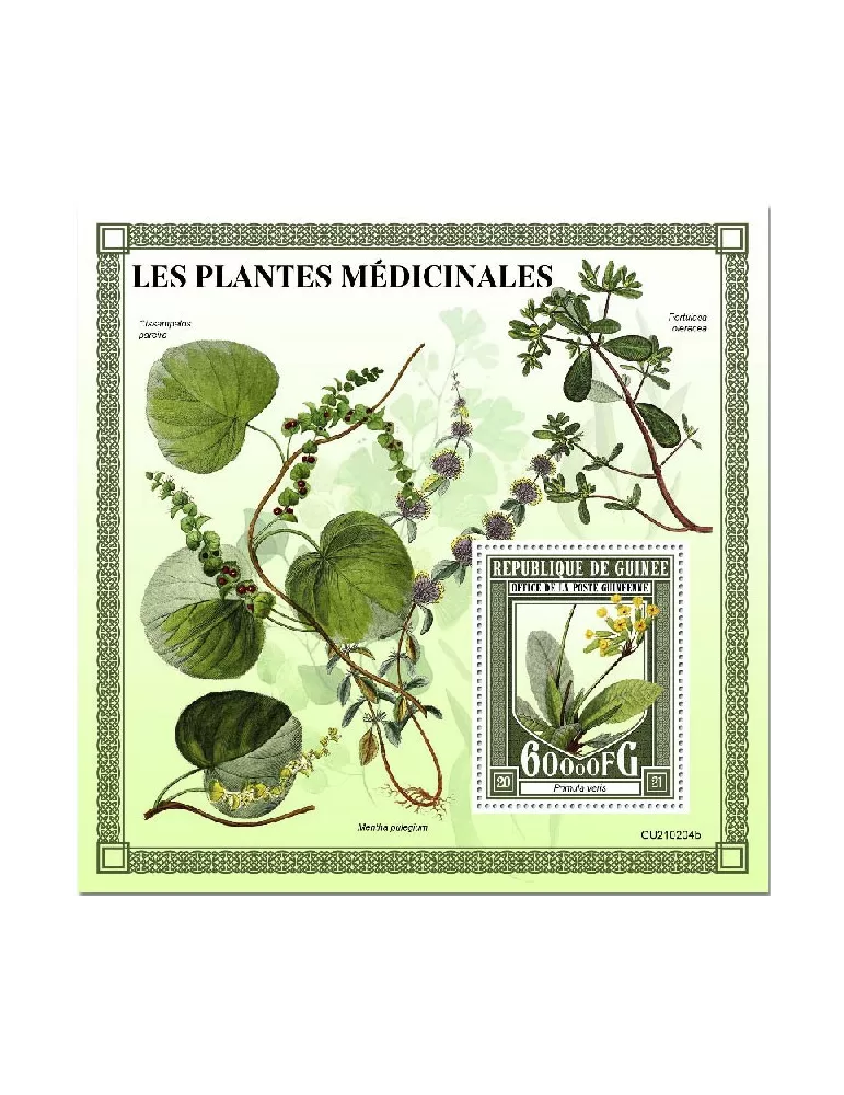 n° 2704 - Timbre GUINEE Blocs et feuillets