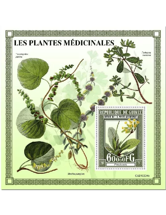 n° 2704 - Timbre GUINEE Blocs et feuillets