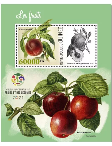 n° 2767 - Timbre GUINEE Blocs et feuillets