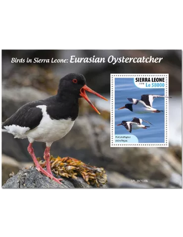 n° 2020 - Timbre SIERRA LEONE Blocs et feuillets