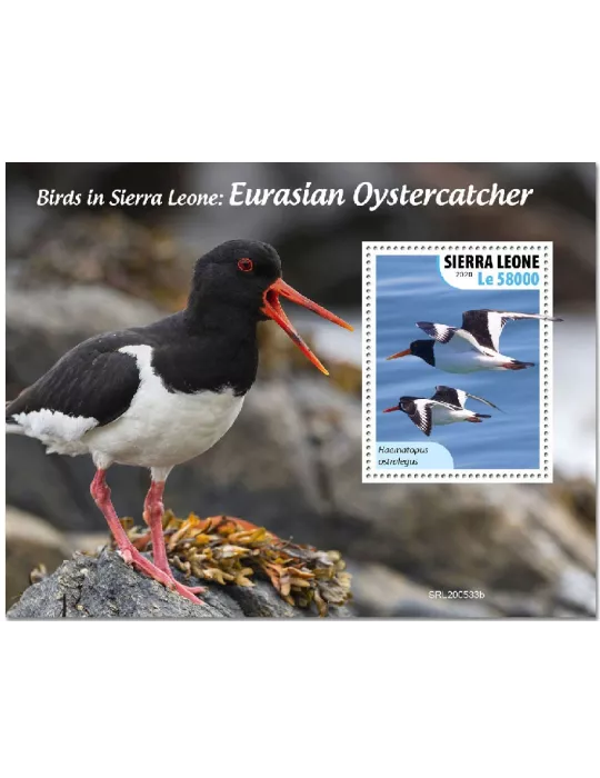 n° 2020 - Timbre SIERRA LEONE Blocs et feuillets