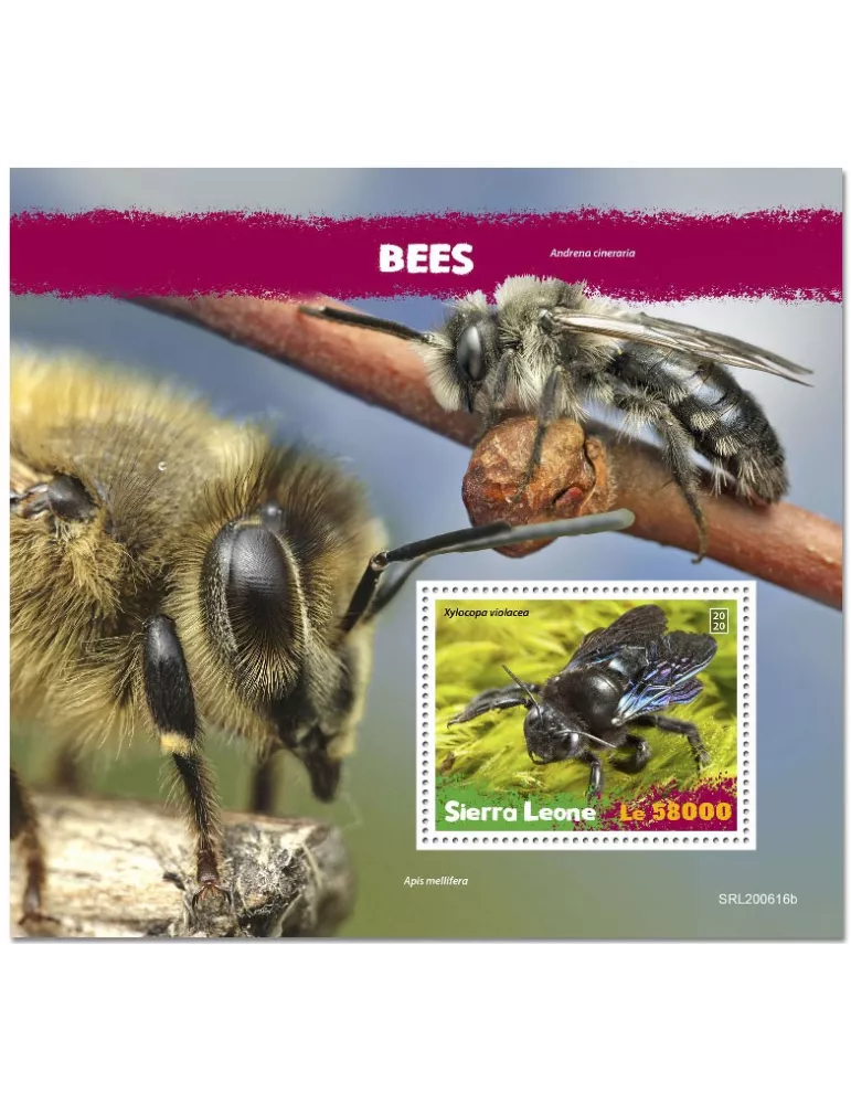 n° 2050 - Timbre SIERRA LEONE Blocs et feuillets