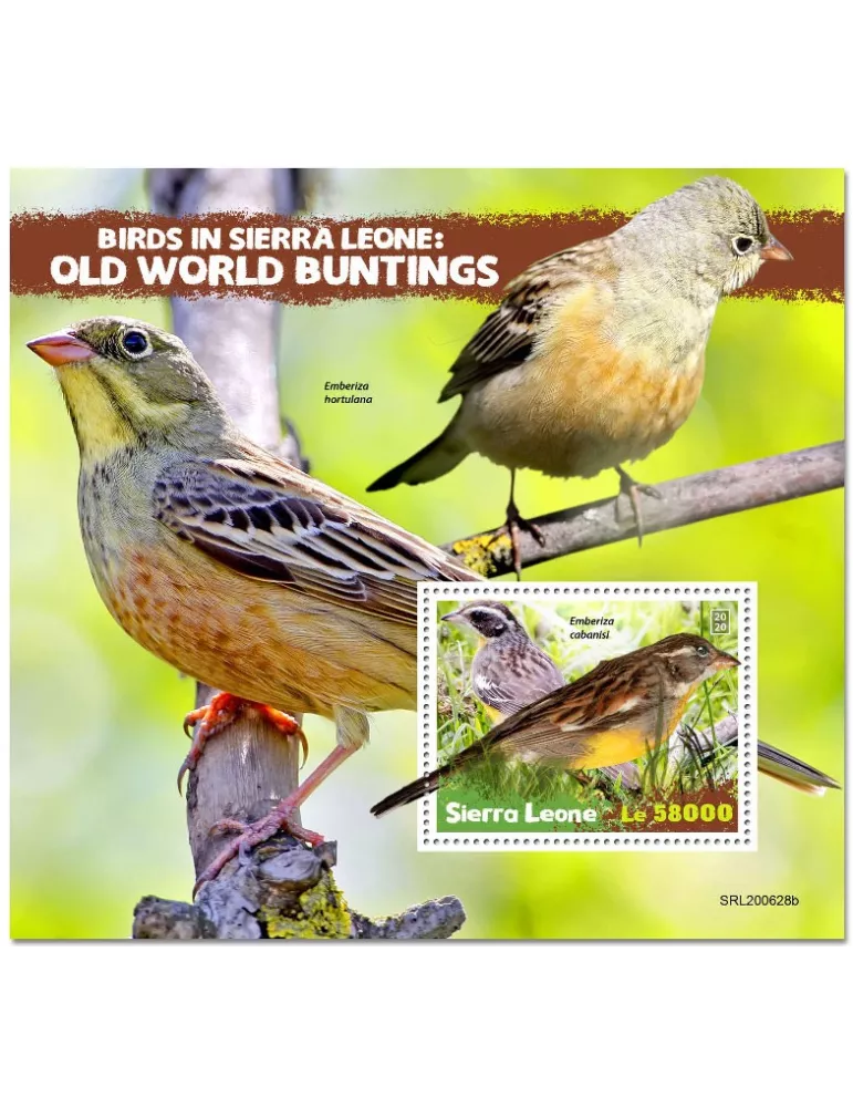 n° 2062 - Timbre SIERRA LEONE Blocs et feuillets