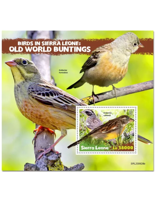 n° 2062 - Timbre SIERRA LEONE Blocs et feuillets