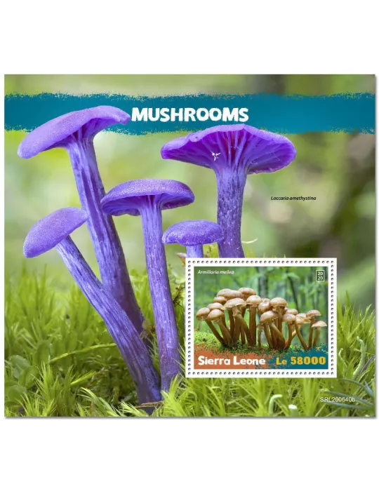 n° 2074 - Timbre SIERRA LEONE Blocs et feuillets