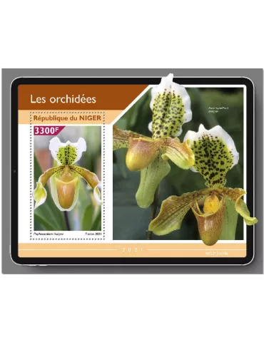 n° 1203 - Timbre NIGER Blocs et feuillets