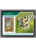 n° 1206 - Timbre NIGER Blocs et feuillets