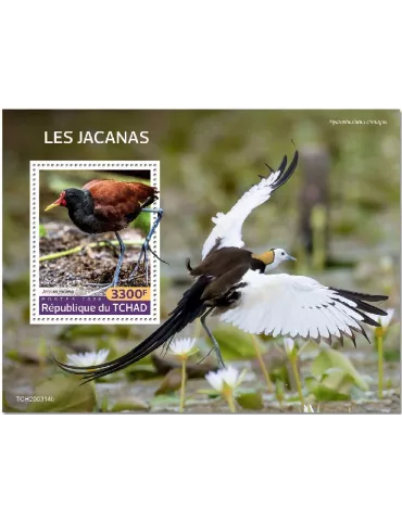 n° 329 - Timbre TCHAD Blocs et feuillets