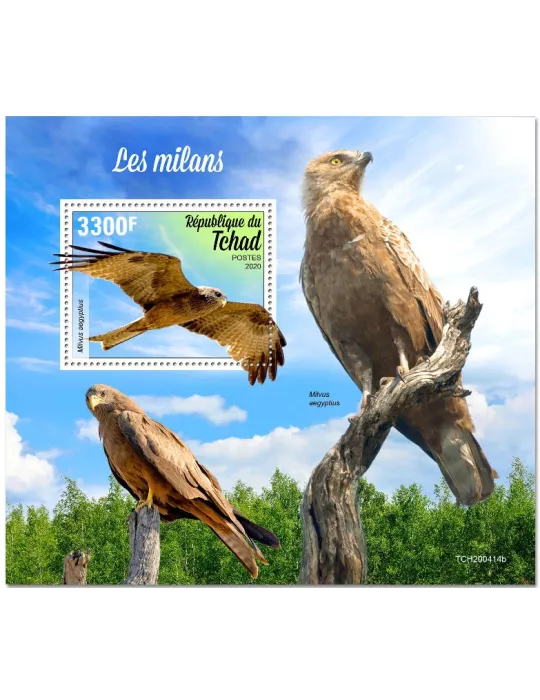 n° 354 - Timbre TCHAD Blocs et feuillets