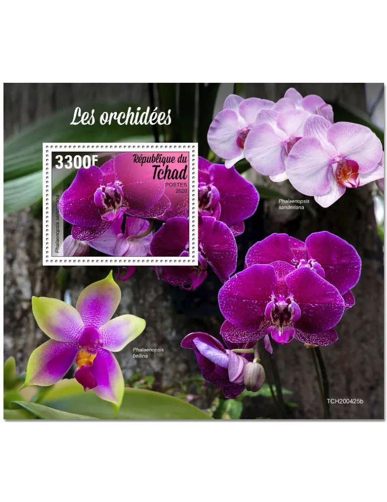 n° 365 - Timbre TCHAD Blocs et feuillets