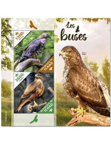 n° 411 - Timbre TCHAD Blocs et feuillets