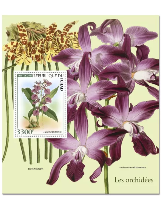 n° 422 - Timbre TCHAD Blocs et feuillets