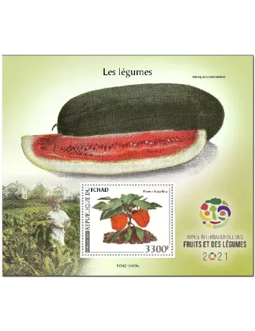 n° 423 - Timbre TCHAD Blocs et feuillets