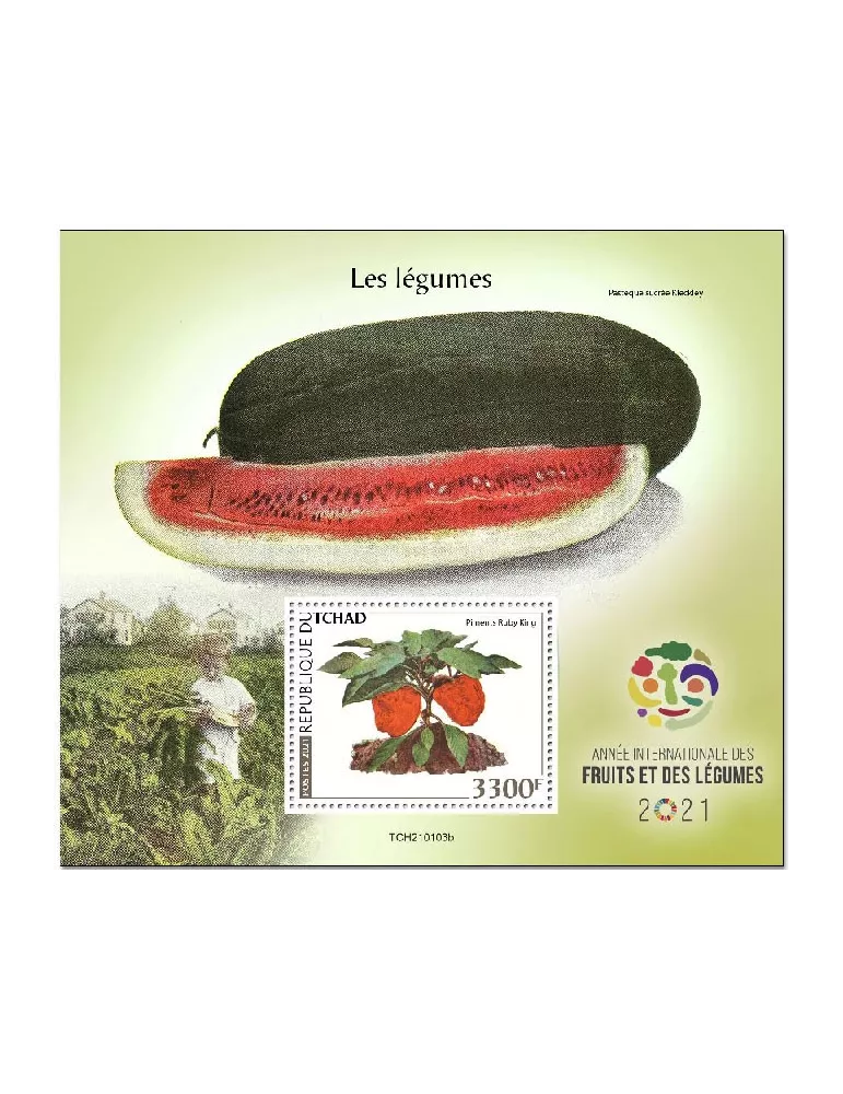 n° 423 - Timbre TCHAD Blocs et feuillets