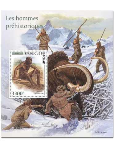 n° 429 - Timbre TCHAD Blocs et feuillets