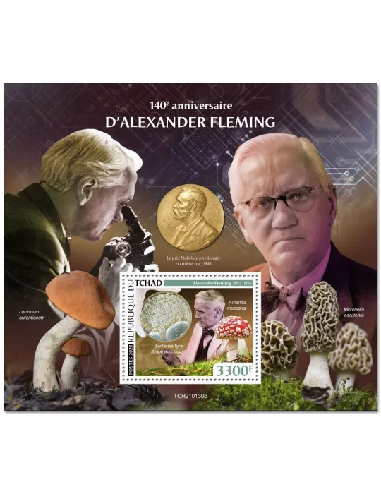 n° 450 - Timbre TCHAD Blocs et feuillets