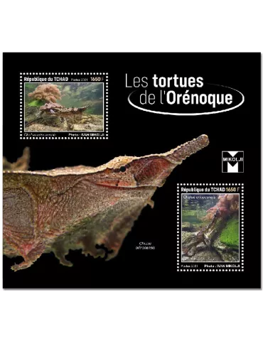 n° 475 - Timbre TCHAD Blocs et feuillets