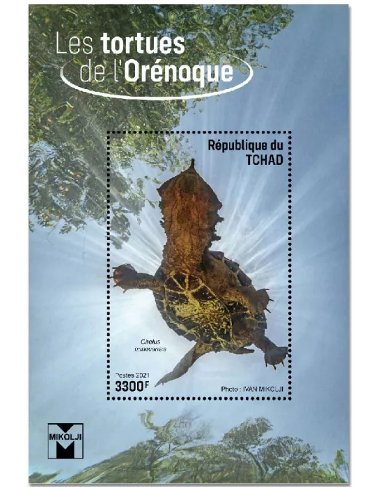 n° 476 - Timbre TCHAD Blocs et feuillets