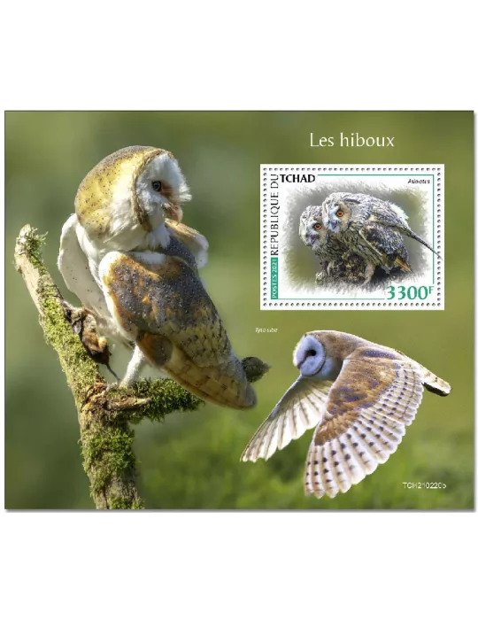 n° 480 - Timbre TCHAD Blocs et feuillets