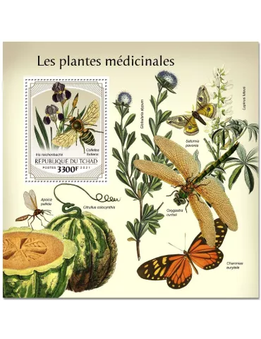 n° 500 - Timbre TCHAD Blocs et feuillets