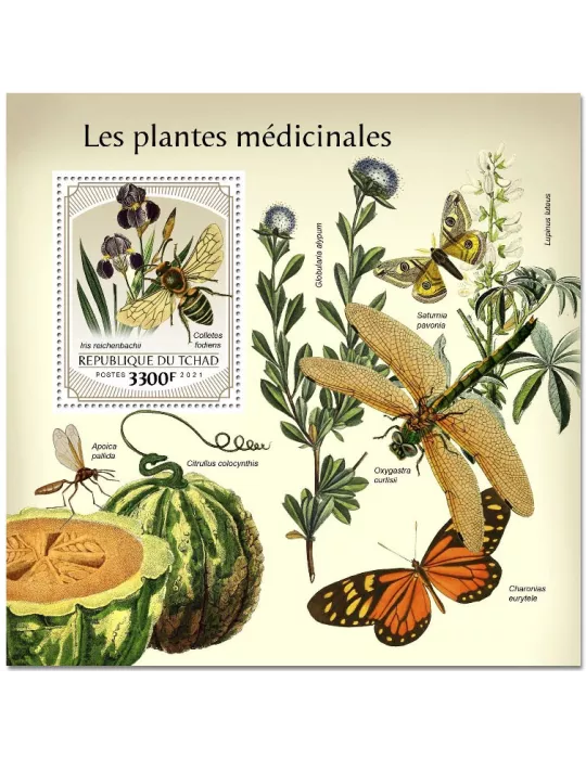 n° 500 - Timbre TCHAD Blocs et feuillets