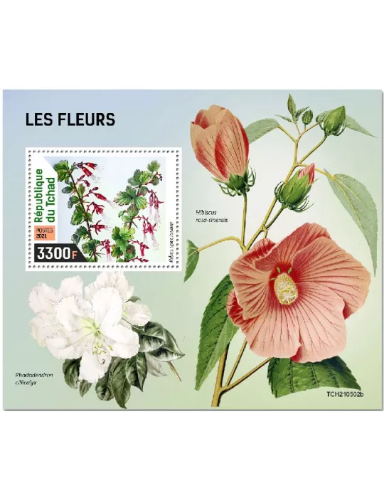 n° 585 - Timbre TCHAD Blocs et feuillets