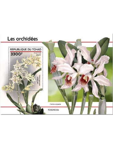 n° 619 - Timbre TCHAD Blocs et feuillets