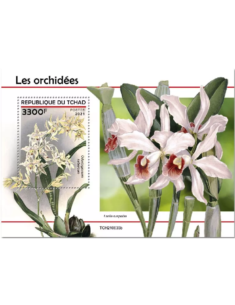 n° 619 - Timbre TCHAD Blocs et feuillets