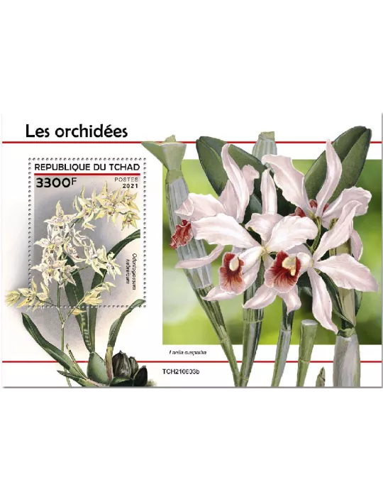 n° 619 - Timbre TCHAD Blocs et feuillets