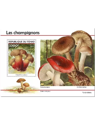 n° 620 - Timbre TCHAD Blocs et feuillets