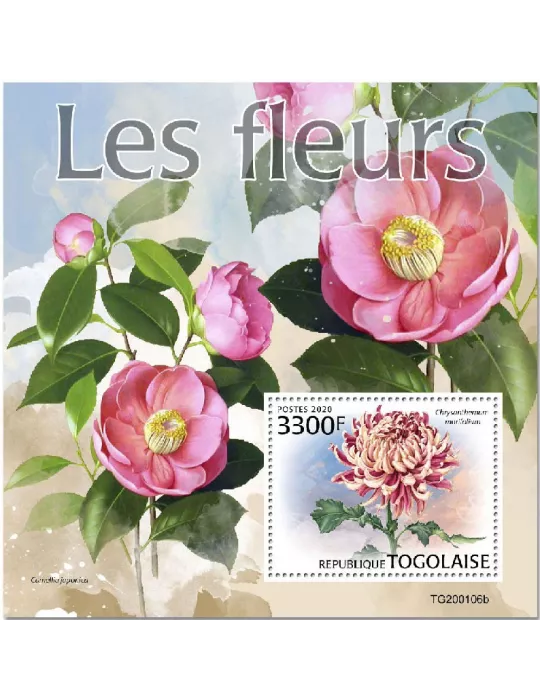 n° 1832 - Timbre TOGO Blocs et feuillets