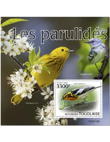 n° 1851 - Timbre TOGO Blocs et feuillets