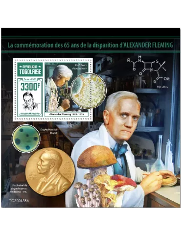 n° 1861 - Timbre TOGO Blocs et feuillets