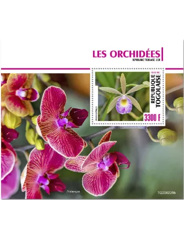 n° 1928 - Timbre TOGO Blocs et feuillets