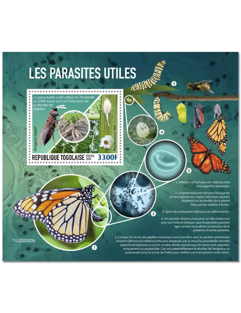 n° 1988 - Timbre TOGO Blocs et feuillets