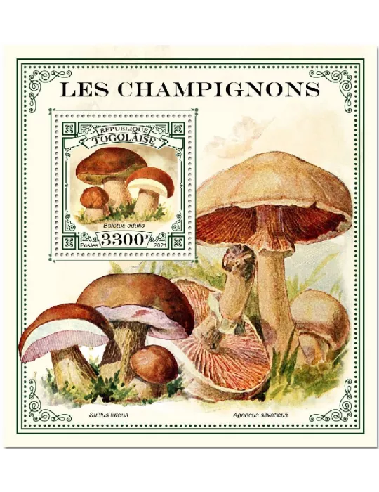 n° 2039 - Timbre TOGO Blocs et feuillets