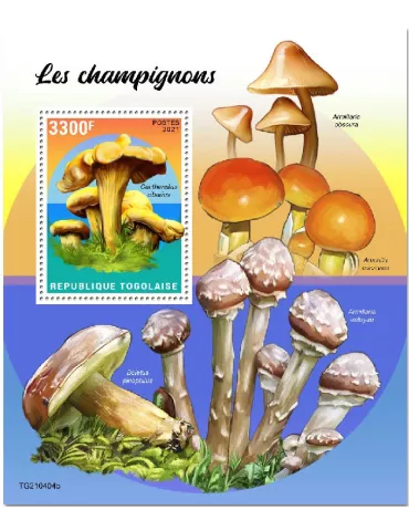 n° 2211 - Timbre TOGO Blocs et feuillets