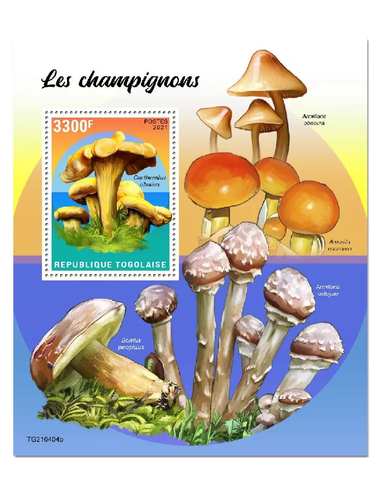 n° 2211 - Timbre TOGO Blocs et feuillets