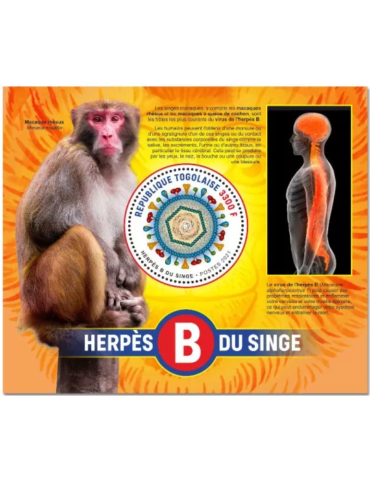 n° 2241 - Timbre TOGO Blocs et feuillets