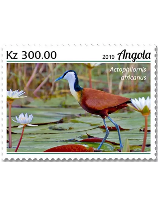 n° 2065/2068 - Timbre ANGOLA Poste