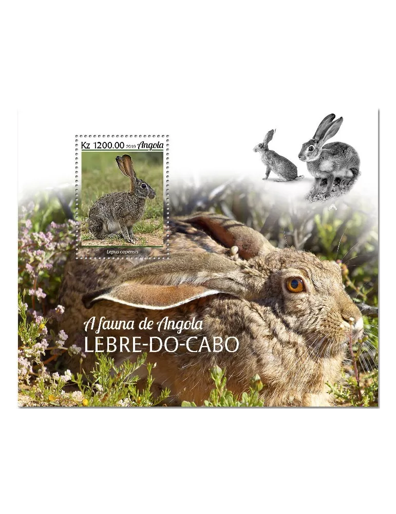 n° 217 - Timbre ANGOLA Blocs et feuillets