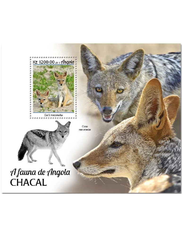 n° 221 - Timbre ANGOLA Blocs et feuillets