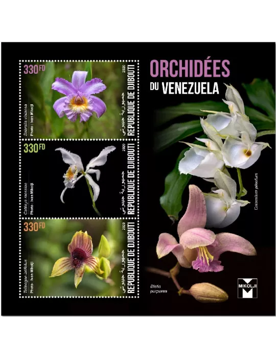 n° 3368CT/3368CV - Timbre DJIBOUTI Poste