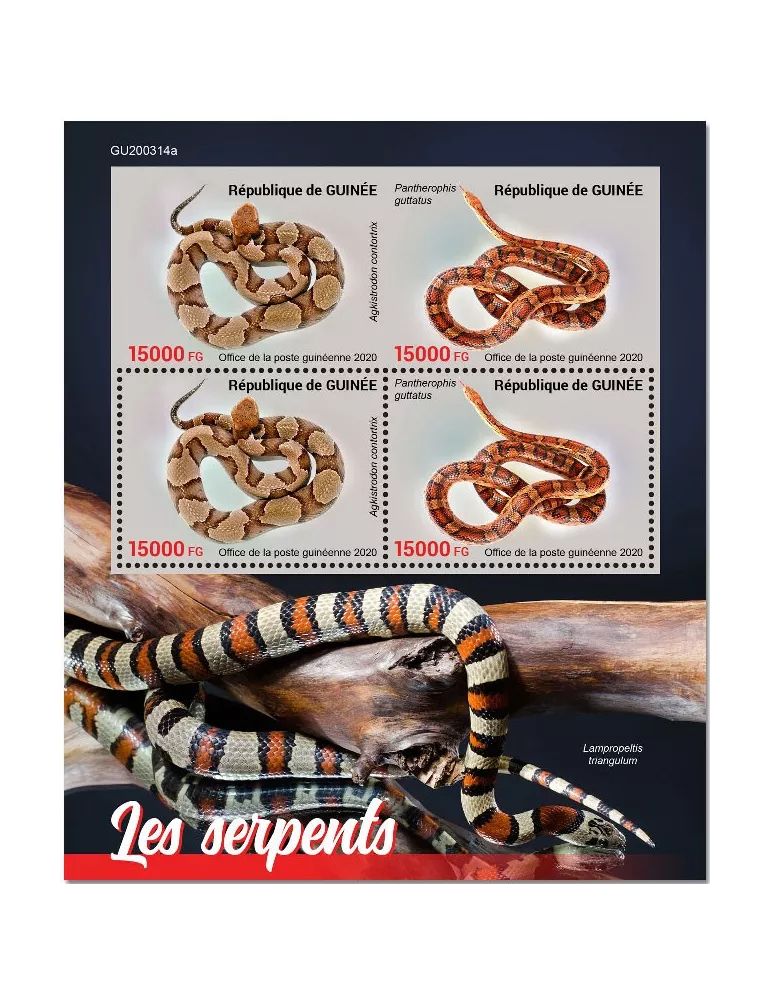 n° 10764/10765 - Timbre GUINEE Poste