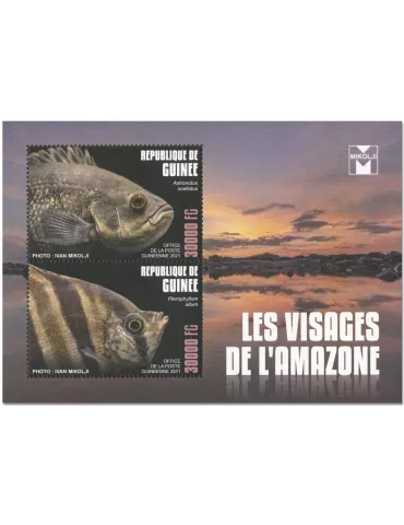 n° 10878/10879 - Timbre GUINEE Poste