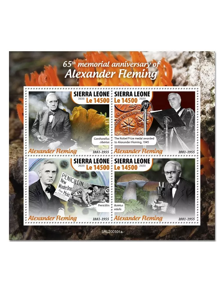 n° 10185/10188 - Timbre SIERRA LEONE Poste