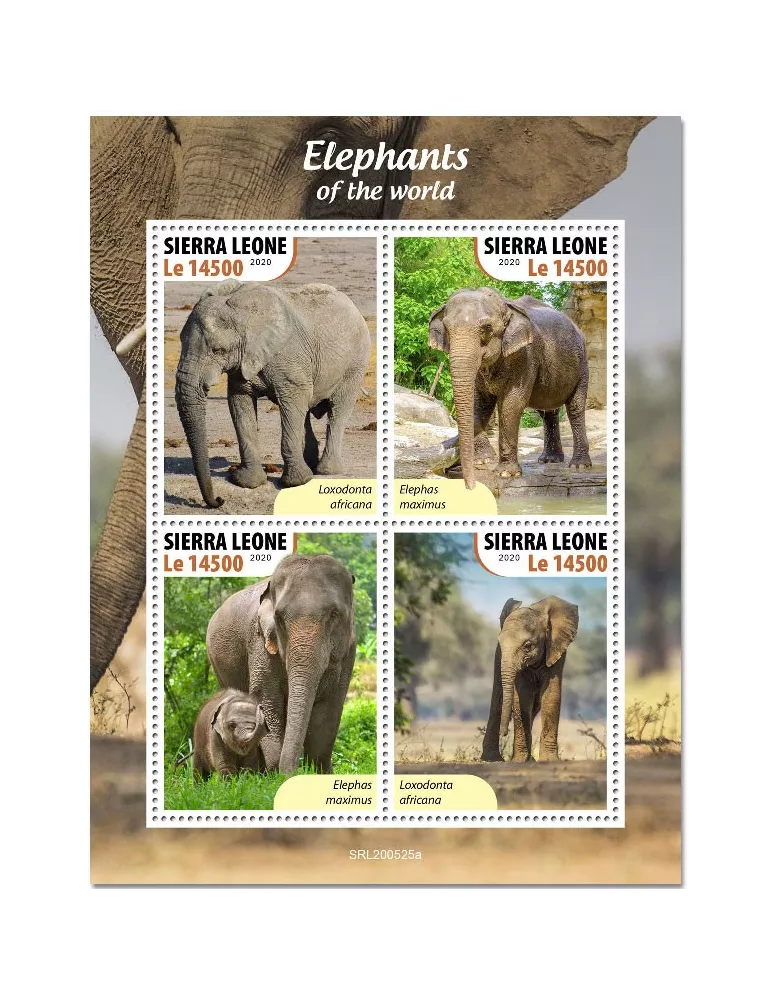 n° 10279/10282 - Timbre SIERRA LEONE Poste