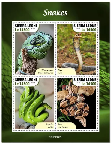 n° 10307/10310 - Timbre SIERRA LEONE Poste