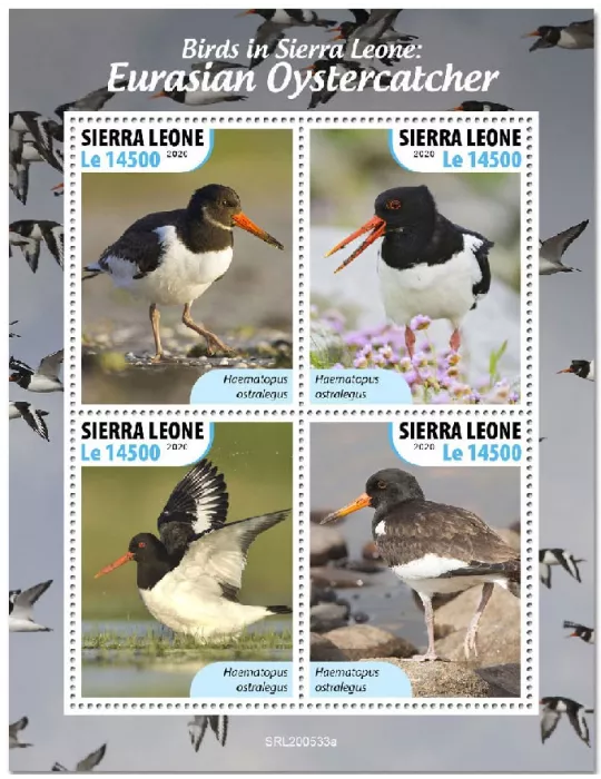 n° 10311/10314 - Timbre SIERRA LEONE Poste